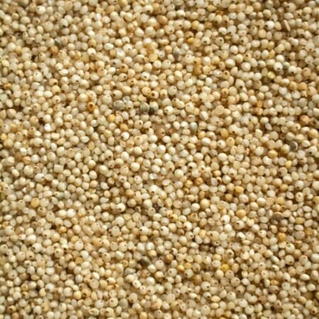 Barnyard Millet