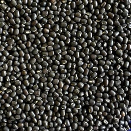Black Urad