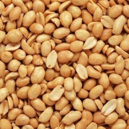 Groundnut