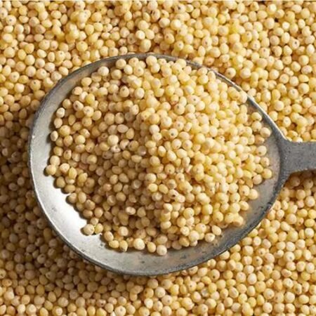Kodo Millet