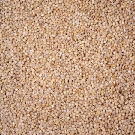 Little Millet